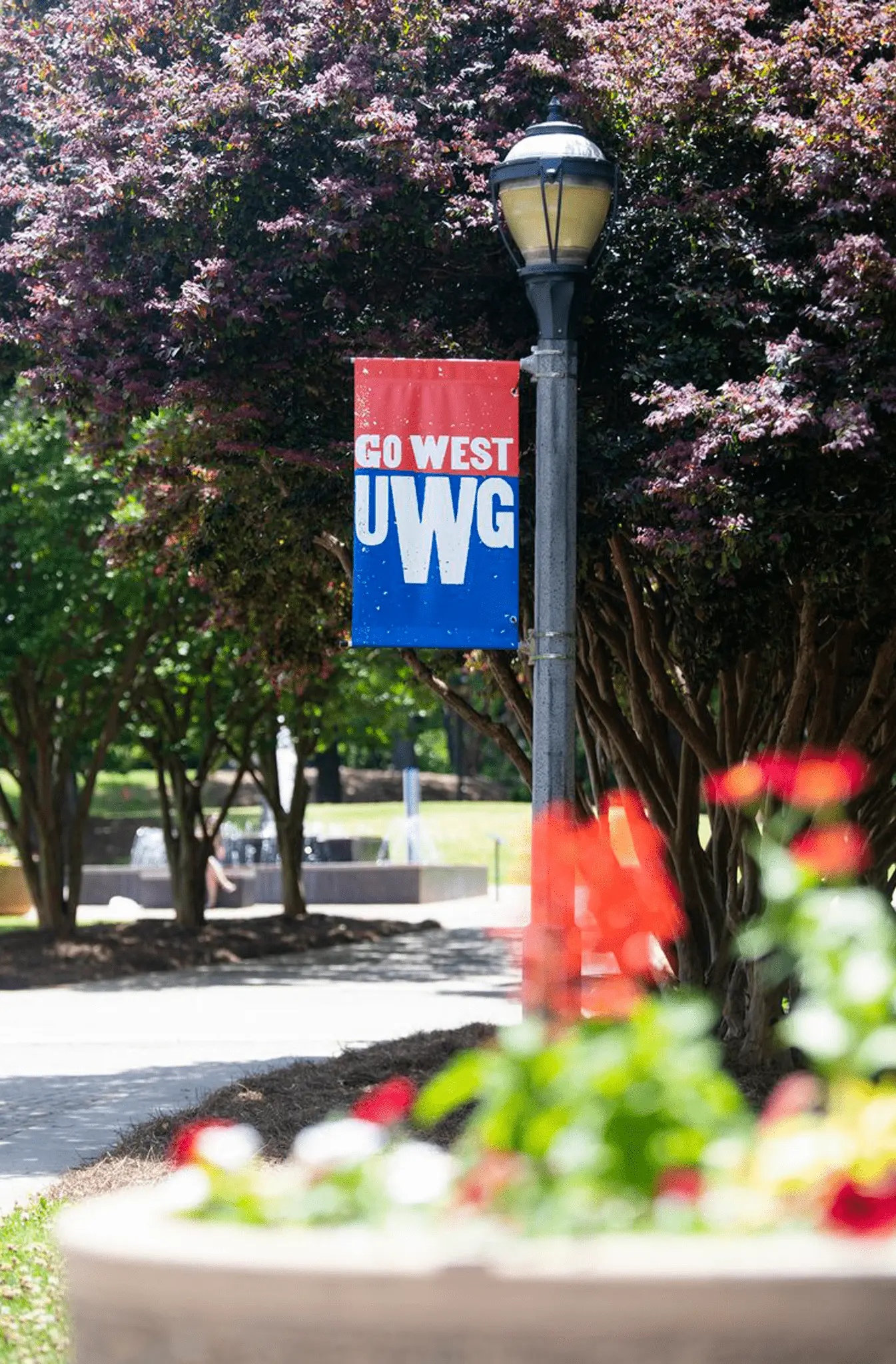 Pole banner on UWG campus